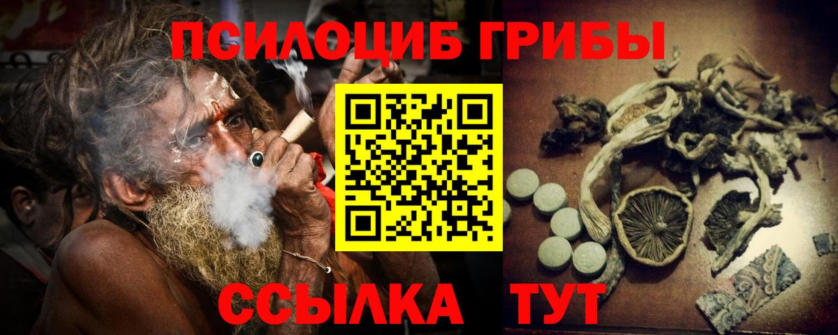 Псилоцибиновые грибы прущие грибы  Вход с VPN  Ноябрьск 