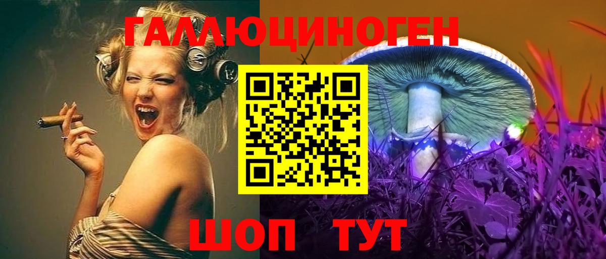 Псилоцибиновые грибы GOLDEN TEACHER Ноябрьск